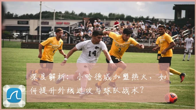 深度解析：小哈德威加盟热火，如何提升外线进攻与球队战术？
